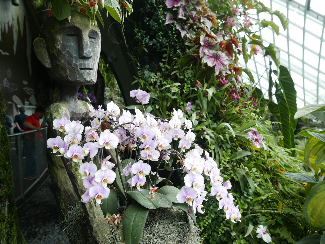 gardens orchids